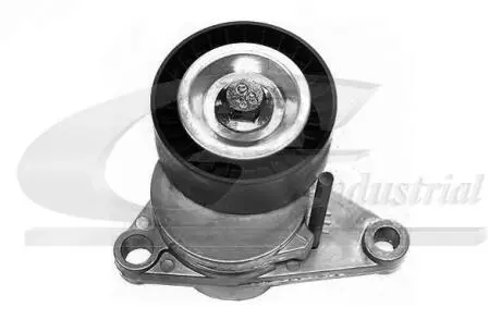 Натяжной механизм пояска поликлинового citroen c2-c4 peugeot 207, 307, 1007 1.1-1.6 16v 12.03- 3RG 13201