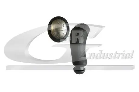 Элемент трансмиссии 3RG 25612