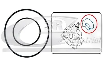 Набір прокладок вакуумного насоса 3RG 74100