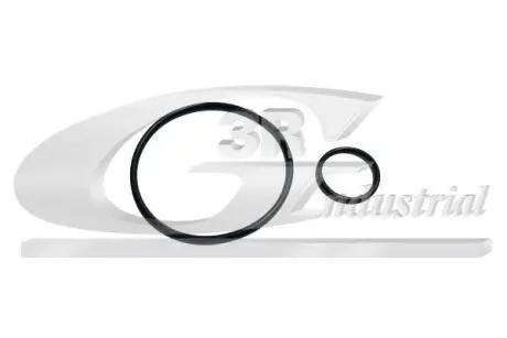 Набор прокладок вакуумного насоса 3RG 74209