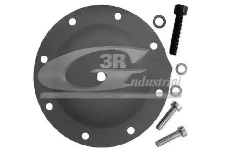 Ремнабор насоса вакумного 3RG 80002