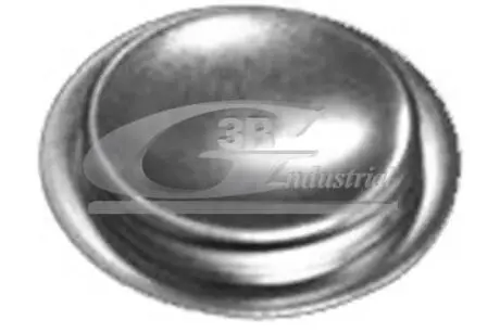 Заглушка, вісь коромисла-монтажний отвір 3RG 84050