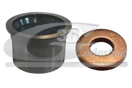 Форсунки топливные 3RG 84232