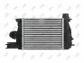 Радіатор інтеркулера ABAKUS/DEPO/LORO 0420180014 (фото 2)