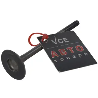 Впускной клапан AE V95013