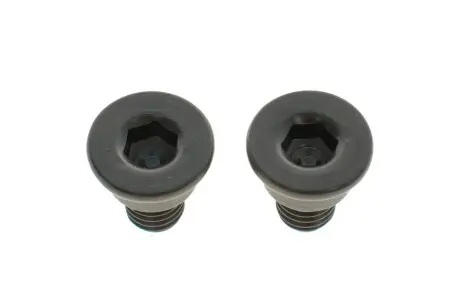 Гвинт кріплення гальмівного диска 2шт. AIC 53273