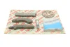 Комплект ланцюга грм bmw 3 (f30)/4 (f32/f82)/5 (f10) 07- n47 d20c (згори) (+к-кт масл. нас) AIC 59010Set (фото 2)