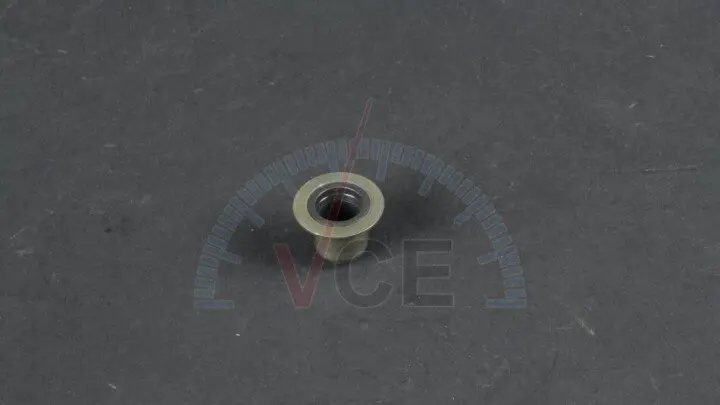 Сальник клапанов AJUSA 12018500 (фото 1)