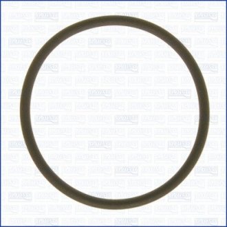 Кольцо резиновое AJUSA 16057400 (фото 1)