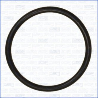 Кольцо резиновое AJUSA 16076900 (фото 1)