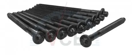 Болты головки блока 1.9td (1905) ducato/boxer 94-02/scudo/expert 96- (к-кт) AJUSA 81008000