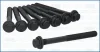 Vw к-кт болтов гбц routan 3.6 10-,jeep, dodge, chrysler AJUSA 81062400 (фото 1)