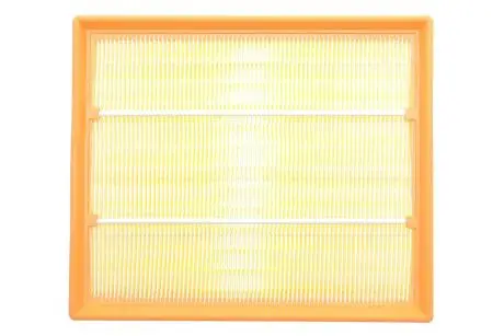 Воздушный фильтр Alpha Filter AF1607