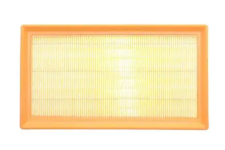 Воздушный фильтр Alpha Filter AF1971