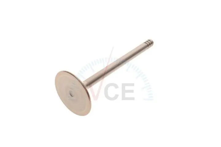 Фото 1 - Клапан (впуск) vw caddy ii/t4 1.9d 92-04 (36x7x95.5) (азотированные) AMP PVWG033-S-0-N Клапан (впуск) vw caddy ii/t4 1.9d 92-04 (36x7x95.5) (азотированные) AMP PVWG033-S-0-N (фото 1)