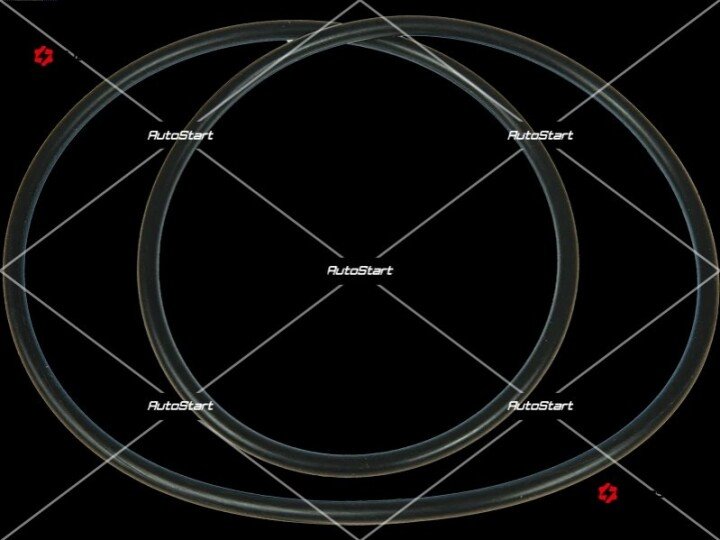 Уплотнительное кольцо hi, (121.00*2.50*126.00), для a207 4s,a2082s,a2083s AS ARS2034S (фото 1)