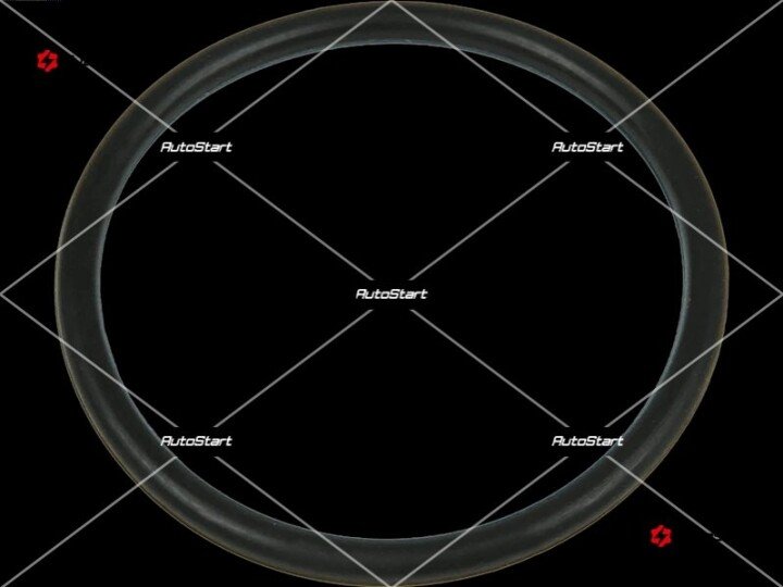 Кільце ущільнювача універсальне, cg132660, для: AS ARS9125S (фото 1)