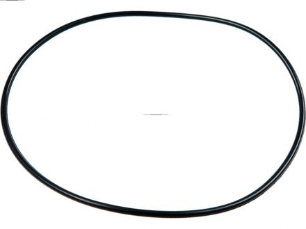 Уплотняющее кольцо AS SRS0088(BULK) (фото 1)