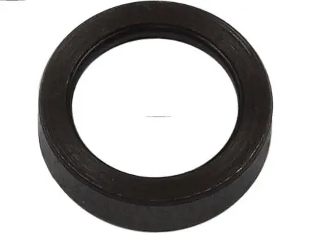 Ремкомплект стартера (детали стартера, заглушки, шайбы) AS SRS5003