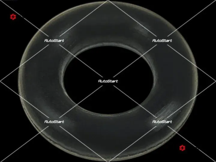 Уплотнительное кольцо mi, cg134485, для: AS SRS5067S (фото 1)