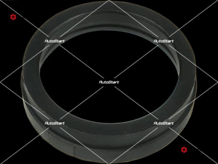 Штопорное кольцо стартера do s1017,s1018, s5030,s5058 AS SRS5069S (фото 1)