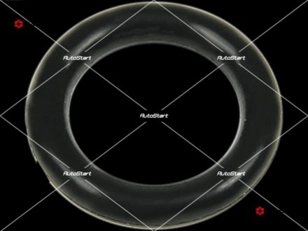 Кільце ущільнювача nd, cg134486, для: AS SRS6063S (фото 1)