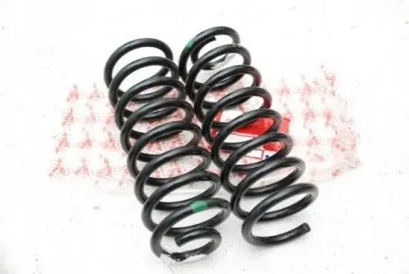 Пружина задня ASAM 30198