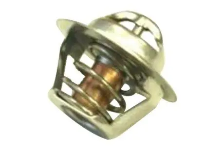 Термостат, охлаждающая жидкость ASAM 30403