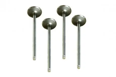 Выпускной клапан ASAM 30464