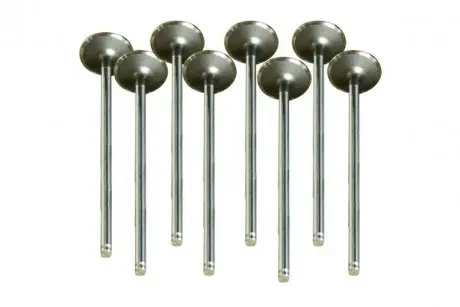 Выпускной клапан ASAM 30470