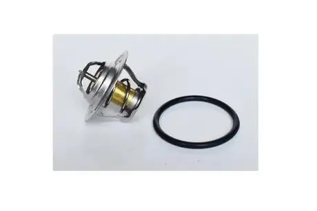 Термостат, охлаждающая жидкость ASAM 73587