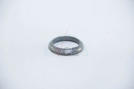 Уплотнительное кольцо, труба выхлопного газа ASAM 99261 (фото 1)