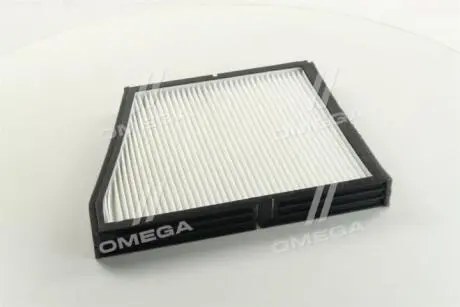 Фильтр, воздух во внутреннем пространстве ASHIKA 21-DW-W1