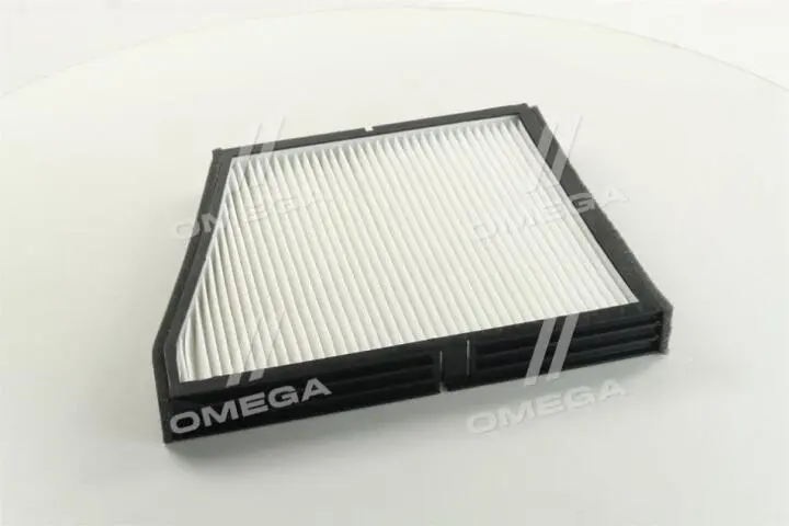 Фильтр, воздух во внутреннем пространстве ASHIKA 21-DW-W1 (фото 1)