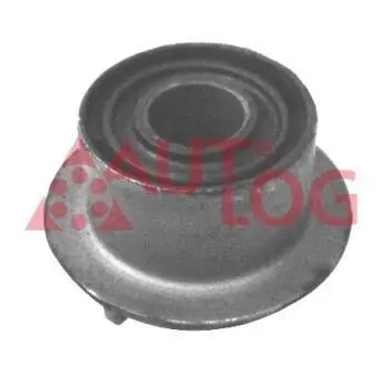 Підвіска, важіль незалежної підвіски колеса AUTLOG FT2139