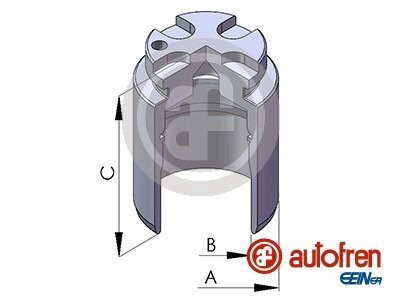 Поршень AUTOFREN SEINSA D02548