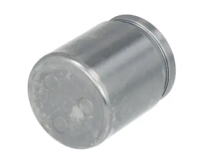 Поршень тормозного суппорта NISSAN X-TRAIL (T30) 01-13 AUTOFREN SEINSA D025278