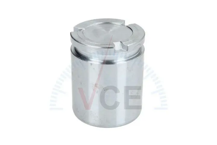 Поршень, корпус скобы тормоза AUTOFREN SEINSA D025543 (фото 1)