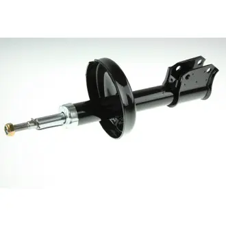 Амортизатор AUTOMEGA 110 103 310