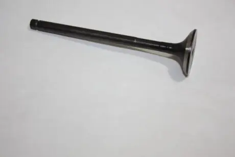 Випускний клапан AUTOMEGA 130107710