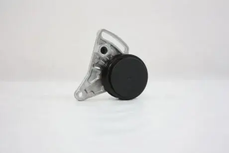 Натягувач AUTOMEGA 160034410