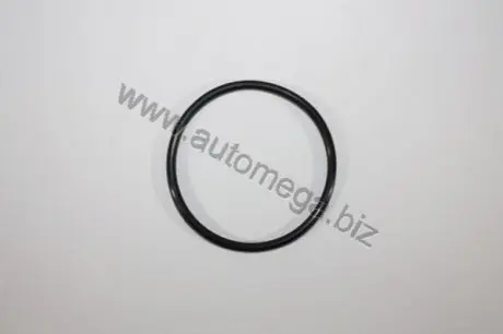 Прокладка, термостат AUTOMEGA 190036220