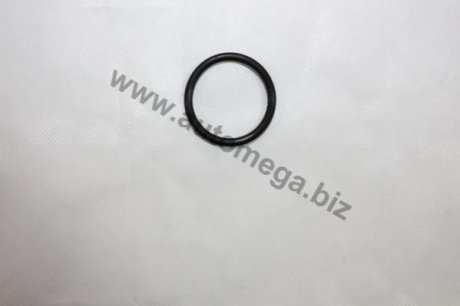 Уплотнительное кольцо, резьбовая пробка маслосливн. отверст. AUTOMEGA 190064810 (фото 1)