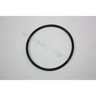 Прокладка, термостат AUTOMEGA 190069620