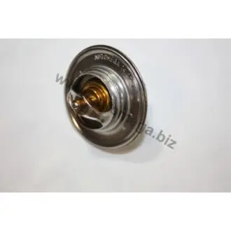 Термостат AUTOMEGA 307 700 087 20314