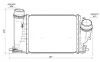 Радиатор интеркулера renault megane iv 1.6 dci 15- AVA QUALITY COOLING RT4684 (фото 1)