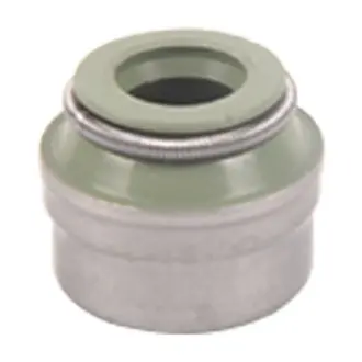 Уплотнительное кольцо клапана Bapmic BACB11155001