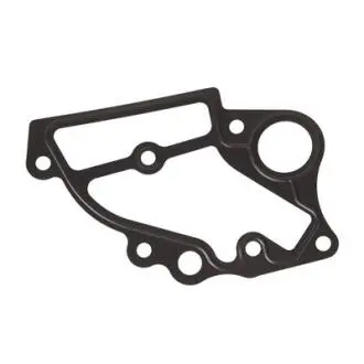 Прокладка водяного насоса двигателя Bapmic BF0426360001