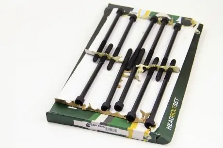 Комплект болтов головки цилидра BGA BK4396