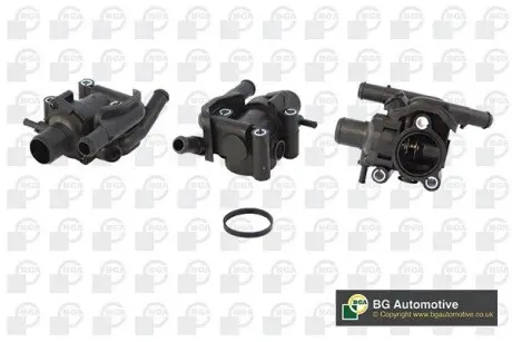 Термостат, охлаждающая жидкость BGA CT2309